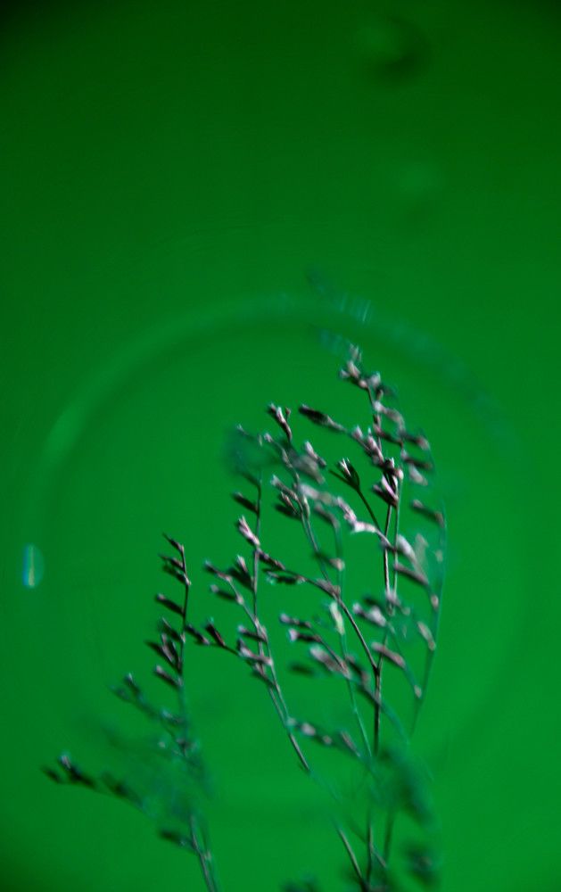 Photograph by Nora Cheprasova