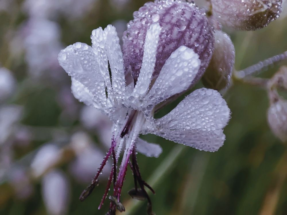 Фотография автора Ирина