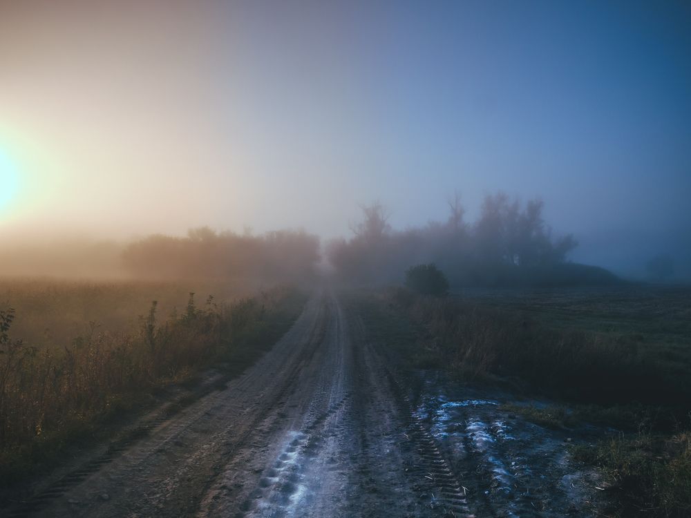 Photograph by Дмитрий Головко