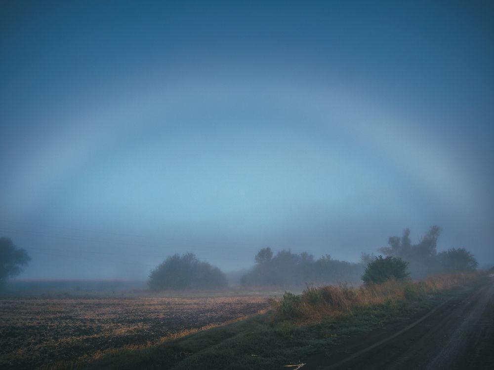 Photograph by Дмитрий Головко