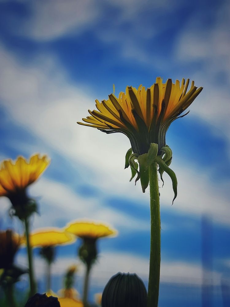 Photograph by Ксения Олина