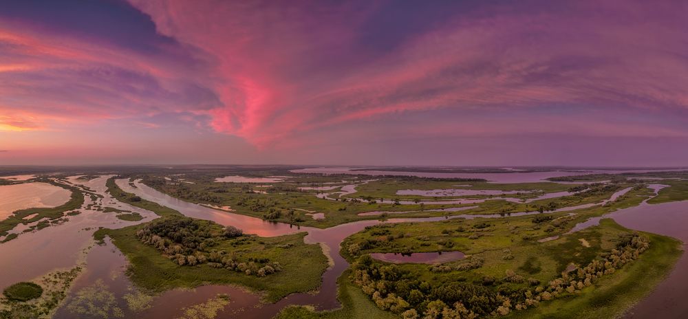 Птица Феникс над Волгой