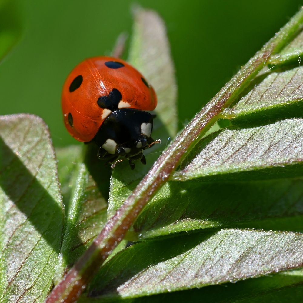 Photograph by Алексей Гордеев