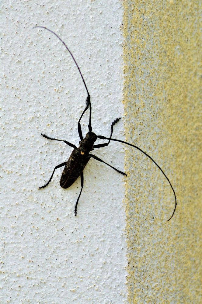 Photograph by Jozef Potocký