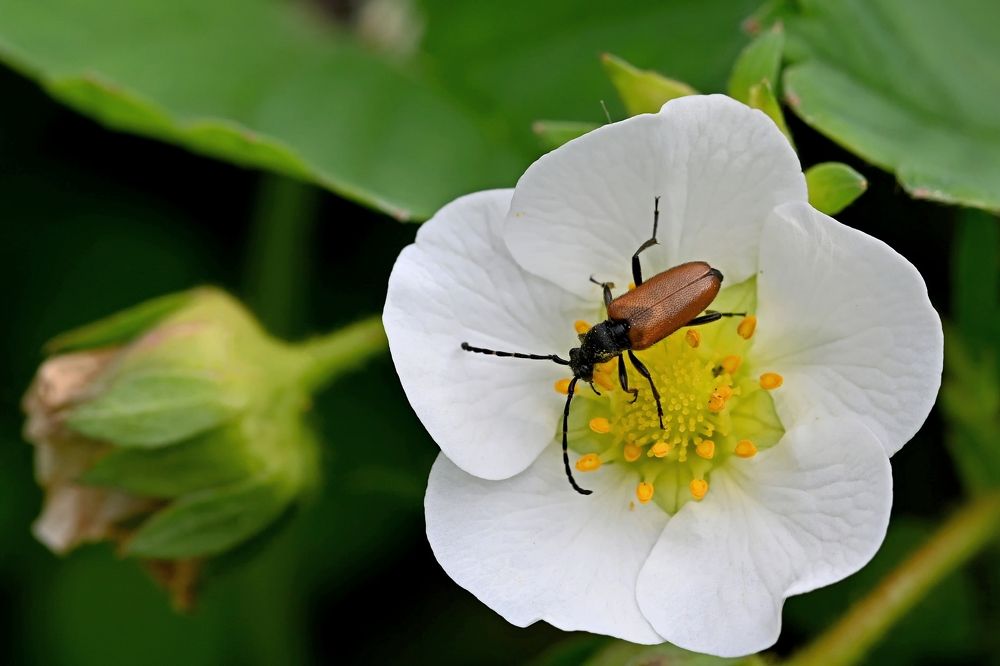 Photograph by Алексей Гордеев