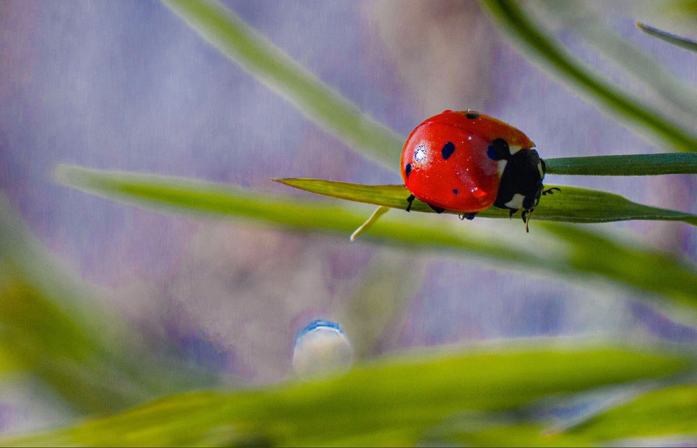 Photograph by Татьяна Соколова