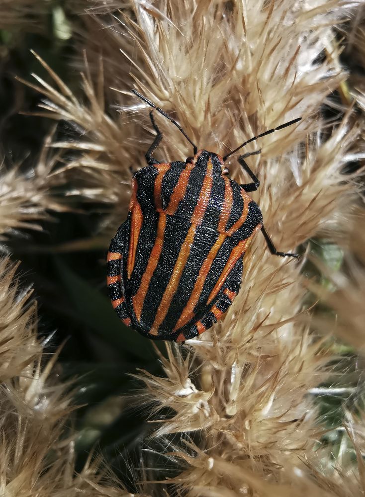 Photograph by Ева Мельникова
