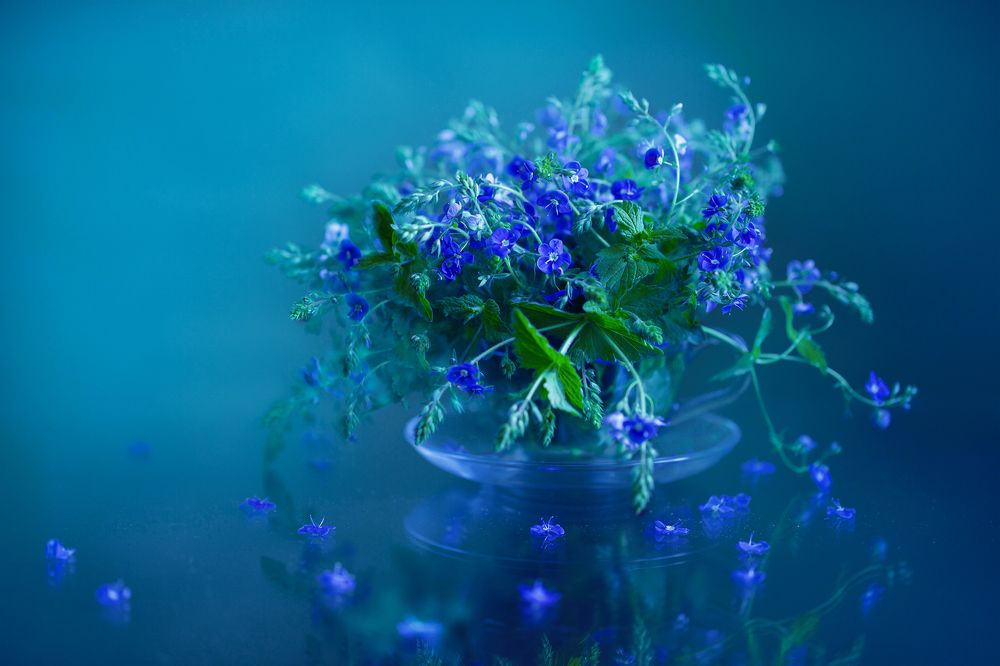 Photograph by Миронова Мила