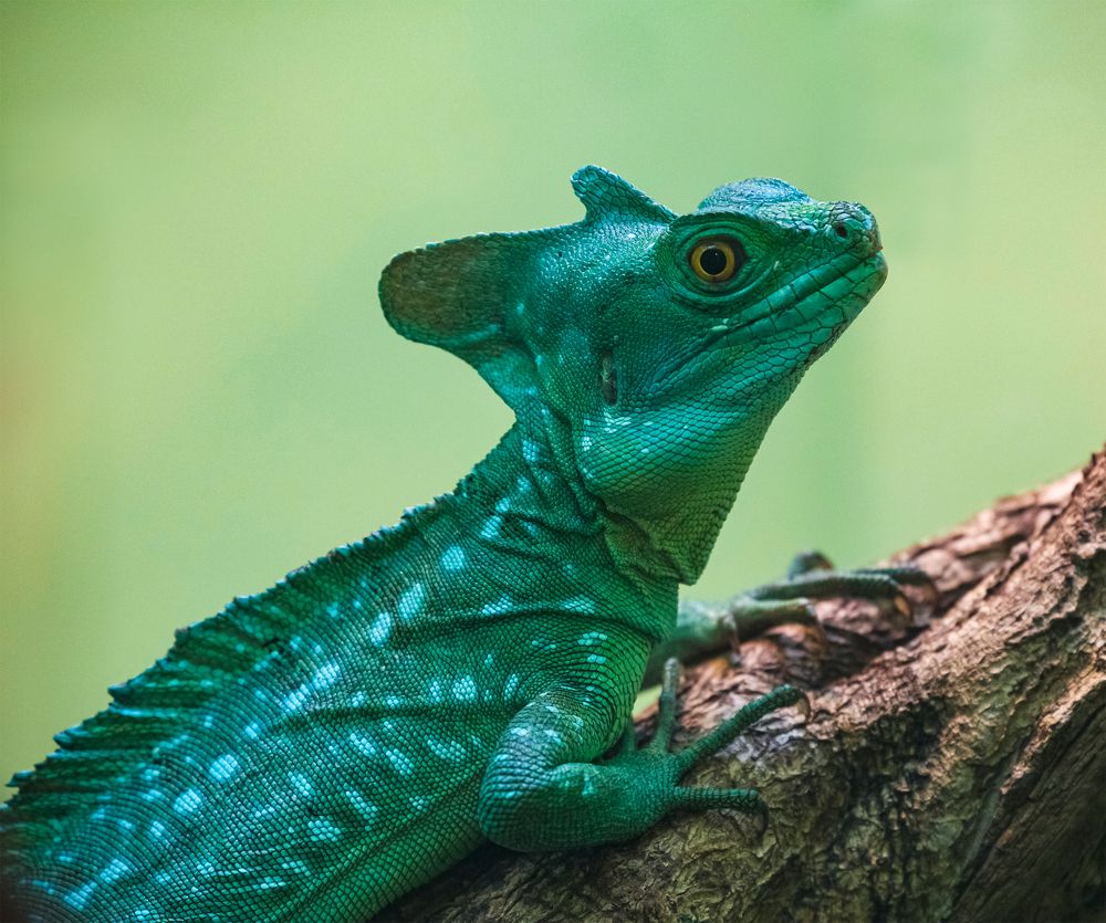 Photograph by Миронова Мила