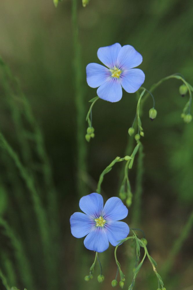 Photograph by Татьяна Гороховская