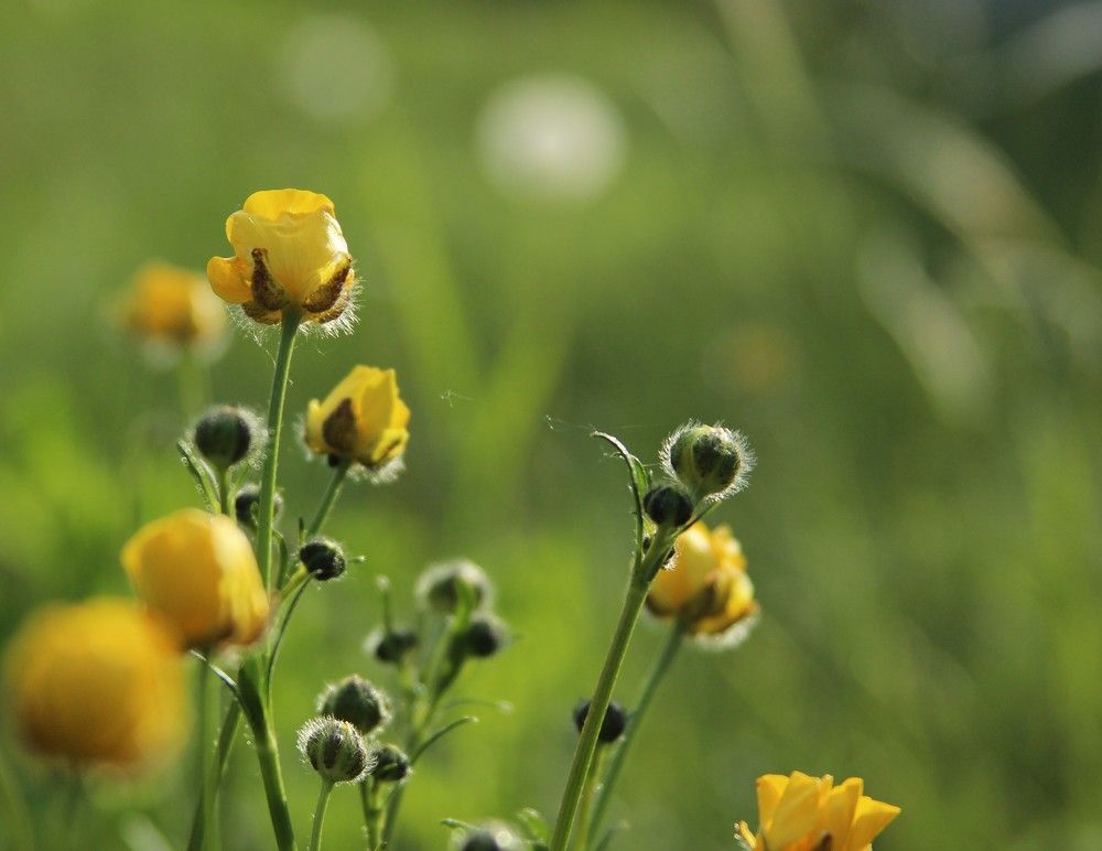 Photograph by Татьяна Гороховская