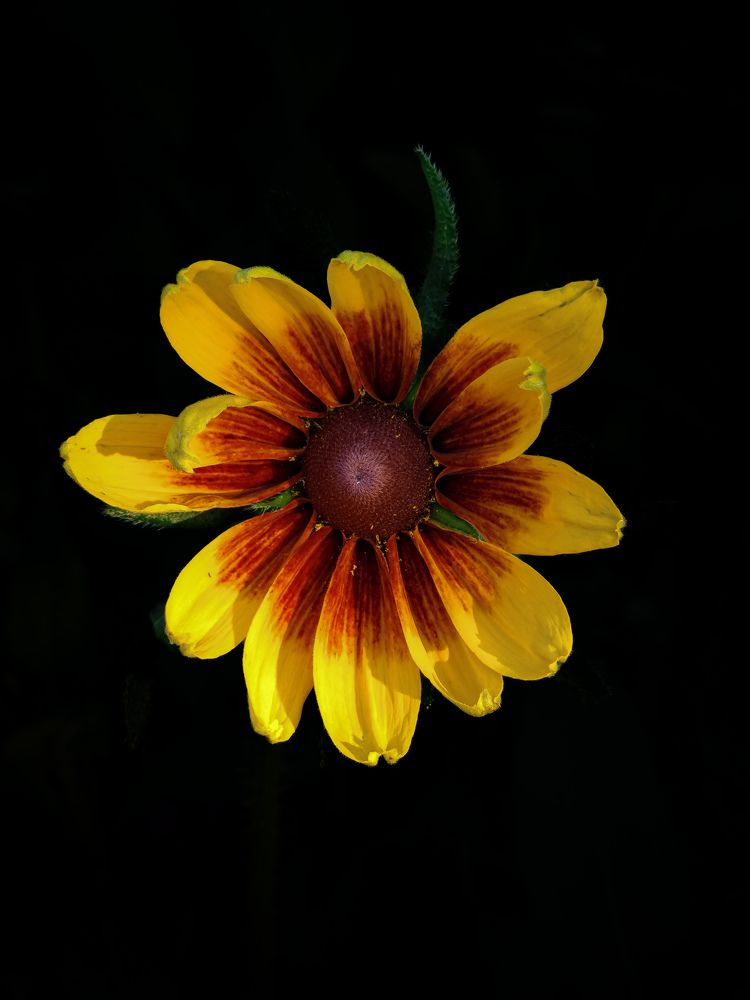 Photograph by Евгений Порсов