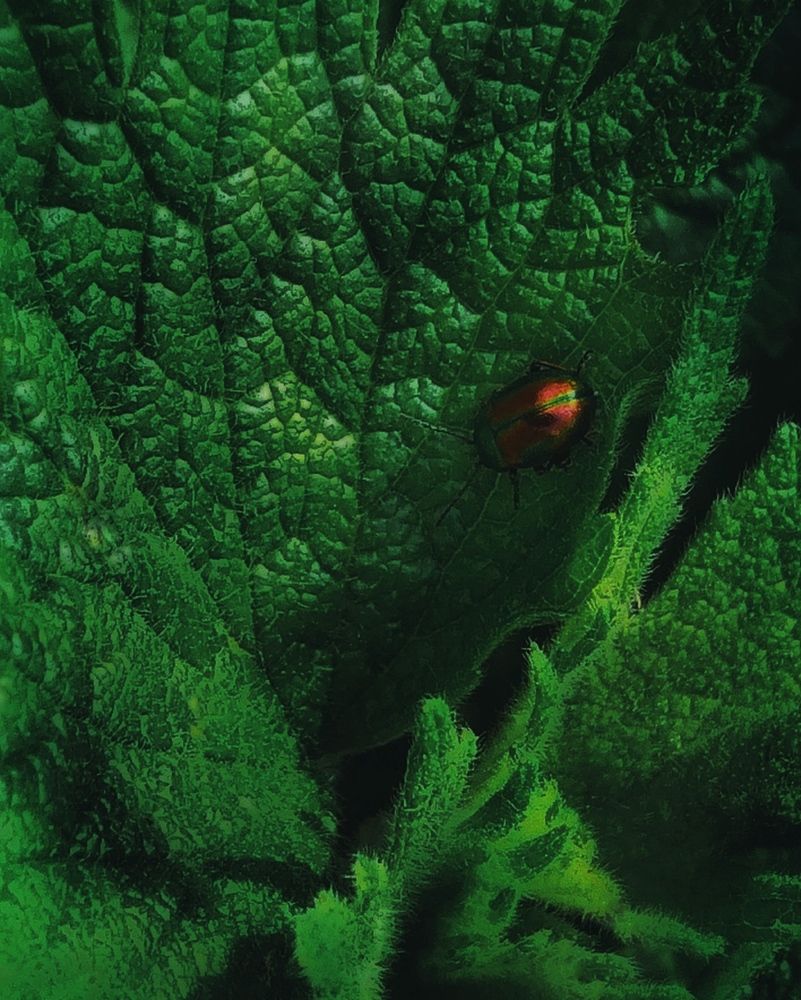 Photograph by Светлана Барабанова