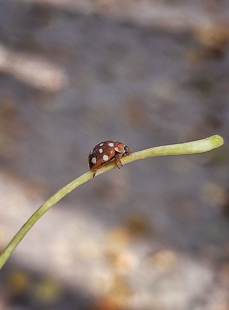 Photograph by 