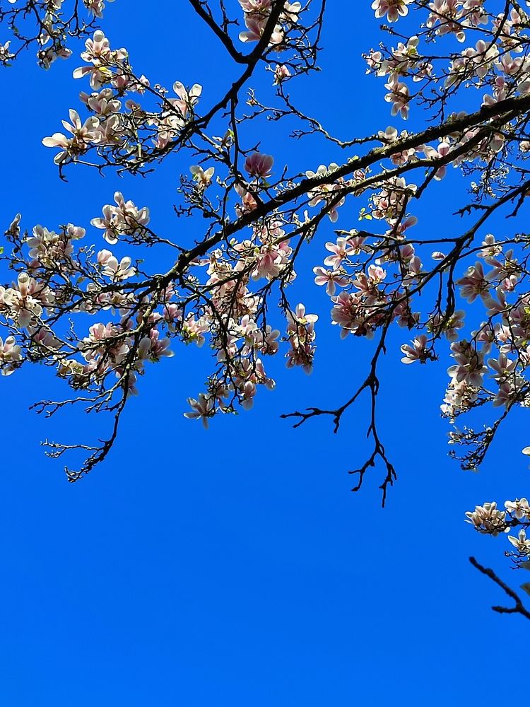 Photograph by Katsiaryna Sazonava