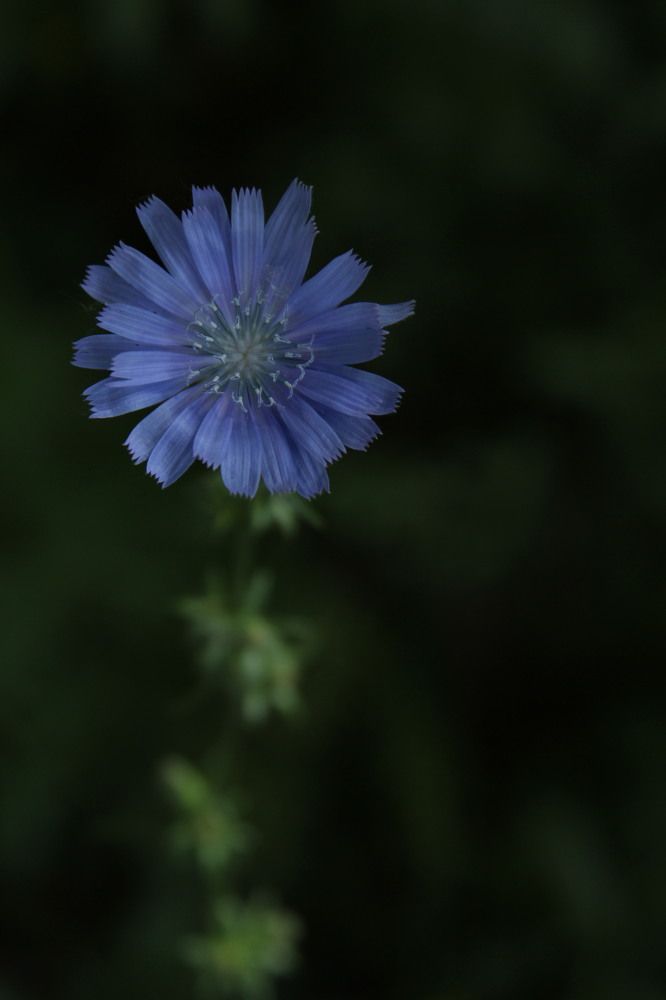 Photograph by Татьяна Гороховская