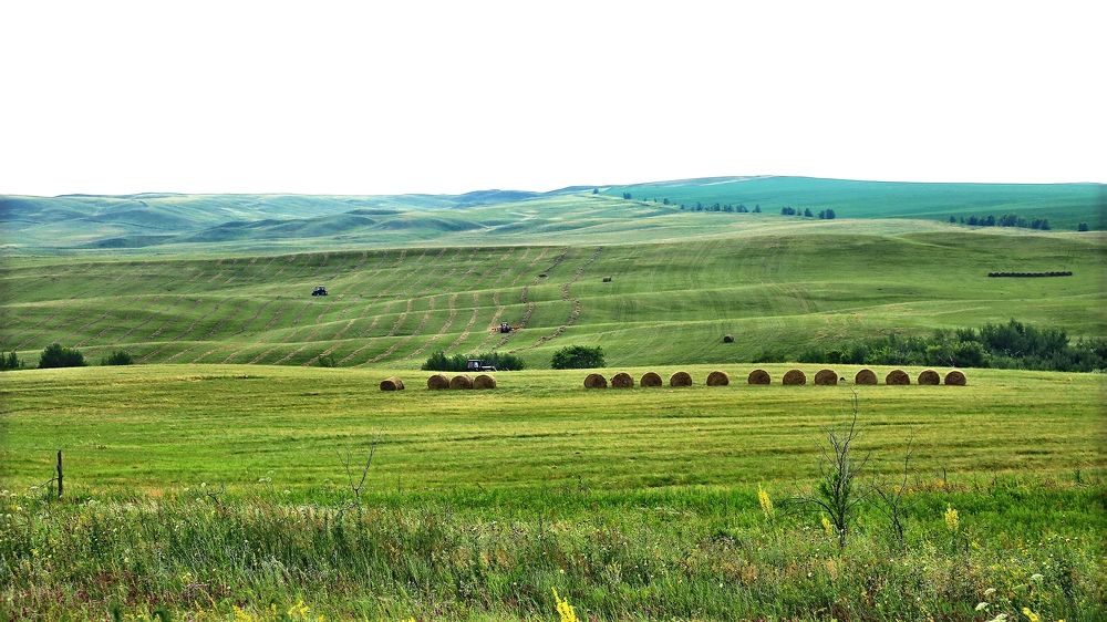 Photograph by Сергей Жданов