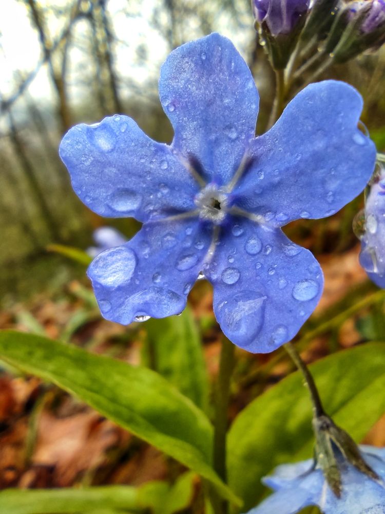 Photograph by Владимир Караман