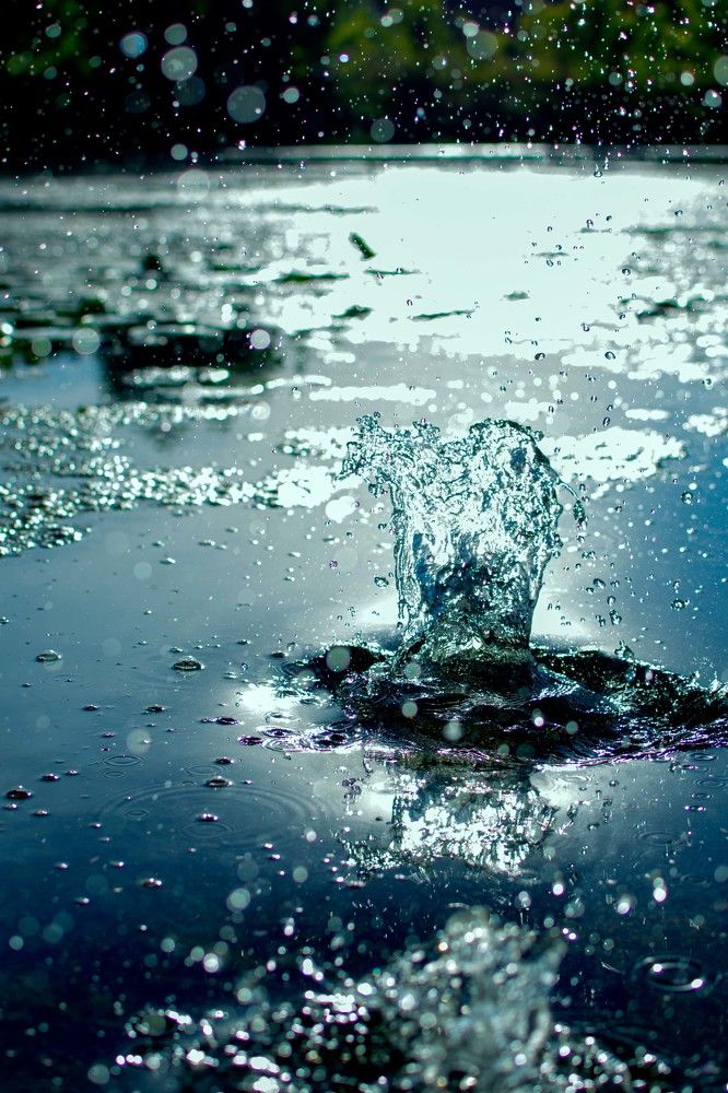 Photograph by Светлана Кочнева