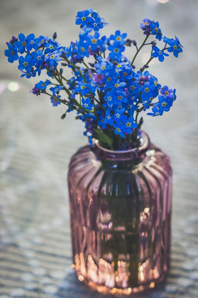 Photograph by Irina Chekanov