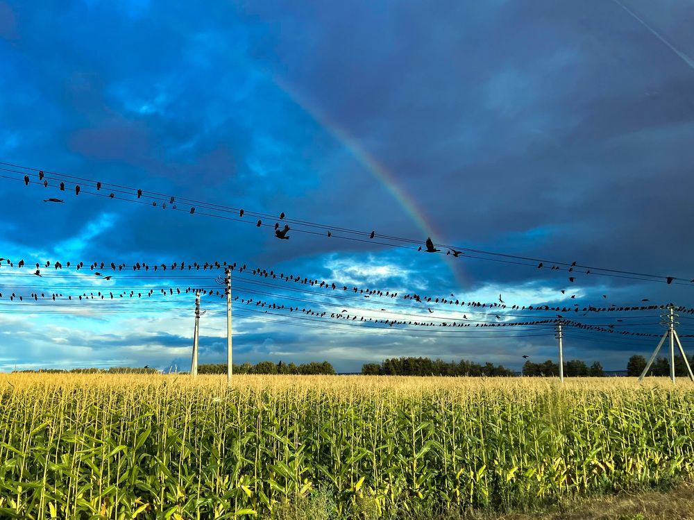 Photograph by Елена Сиушова