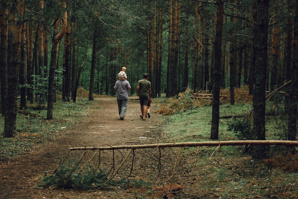 Photograph by Анастасия Боронина