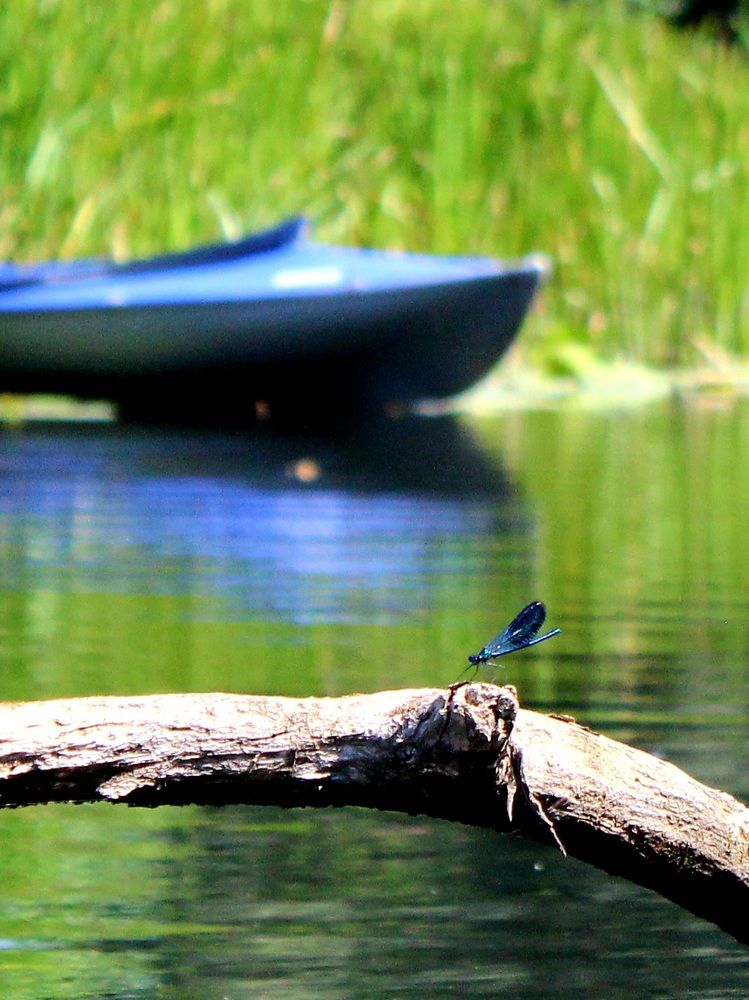 Photograph by Андрей Хитрун