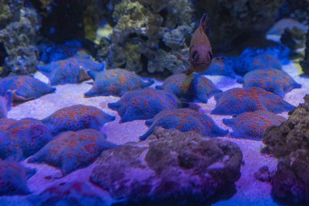 Photograph by Иван Соловьёв