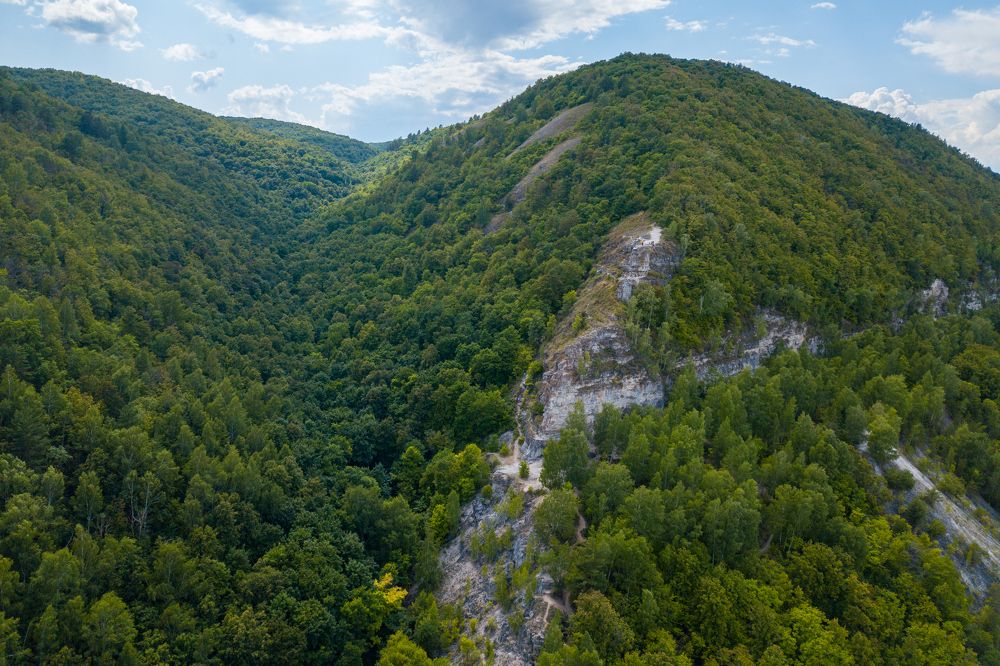 Photograph by Андрей Пшеничников