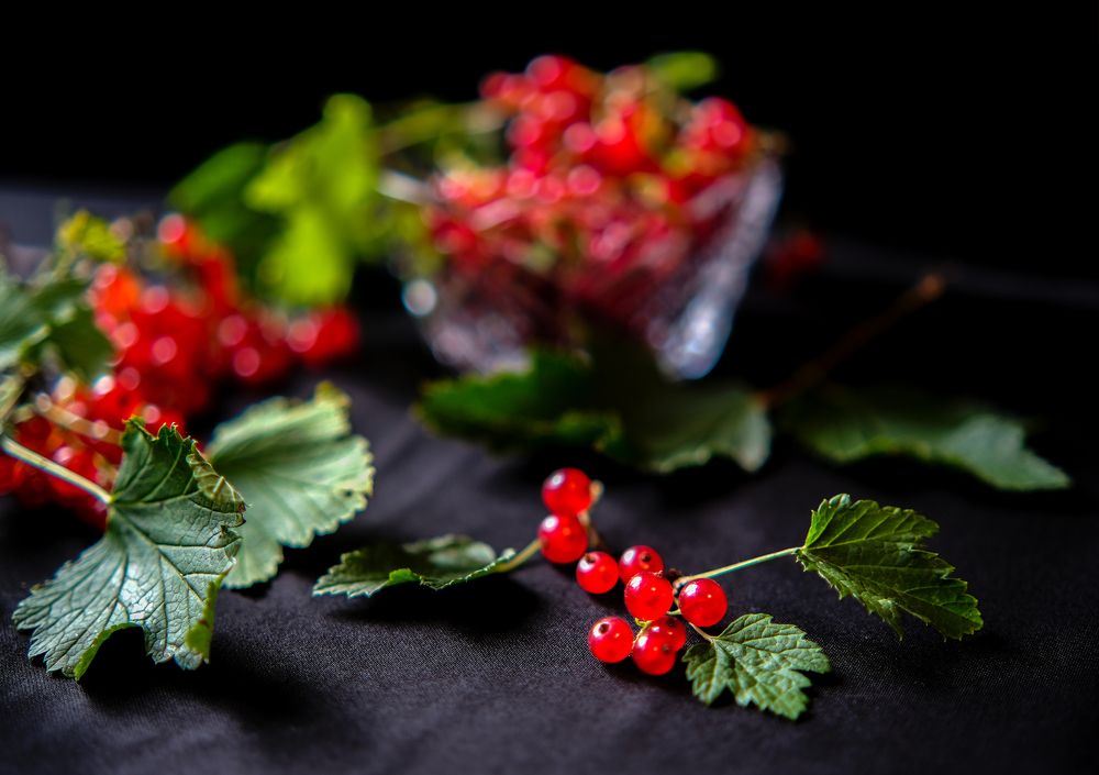 Photograph by Наталья Хачик