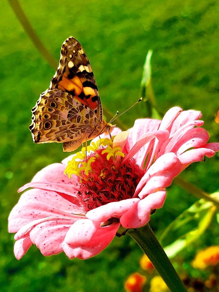 Photograph by Фролова Светлана