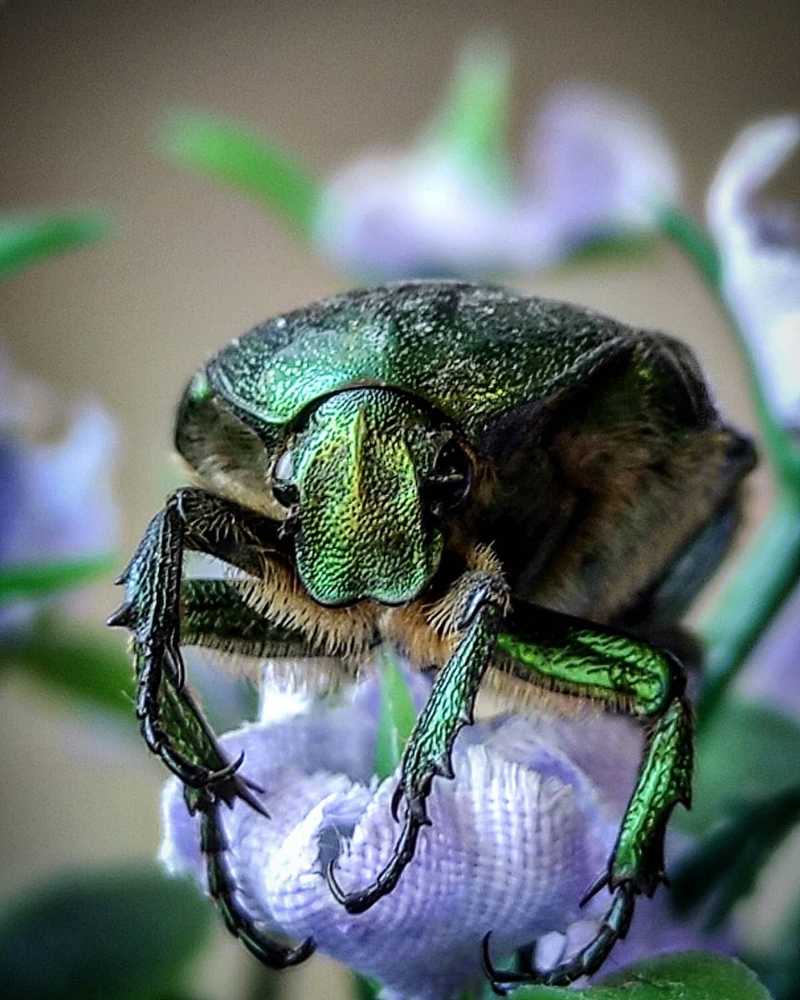 Photograph by Луиза Баширова