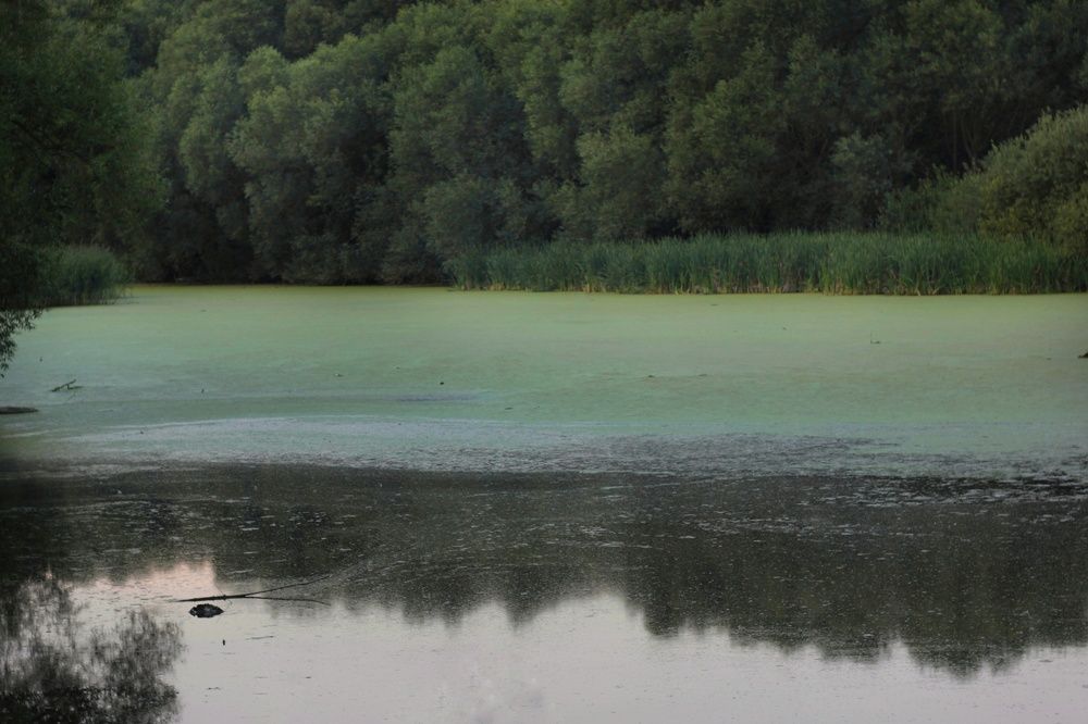 Photograph by Татьяна Аршинова