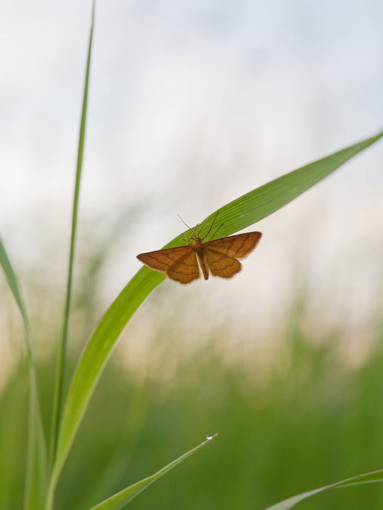 Photograph by Алексей Львов