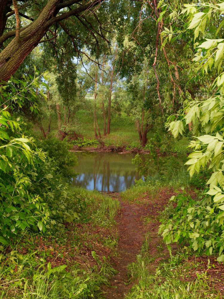 Оттенки зелёного
