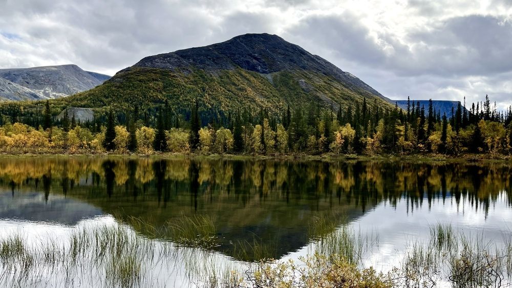 Фотография автора Юлия Шумейко