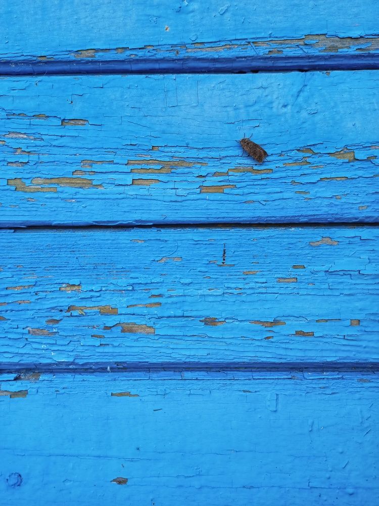 Photograph by Марина Рукавичко