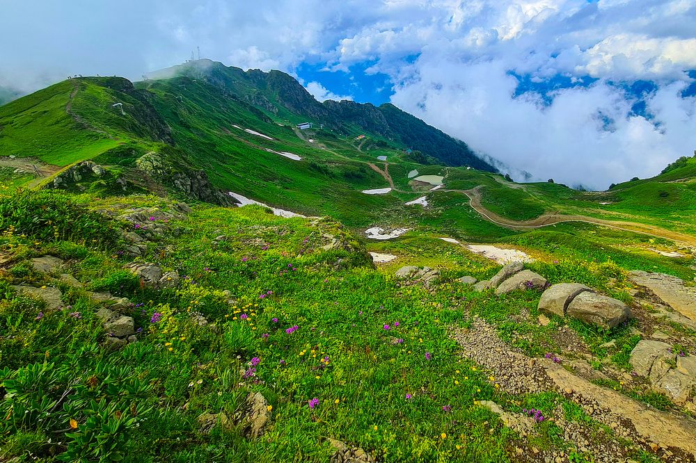 Photograph by Андрей Пшеничников