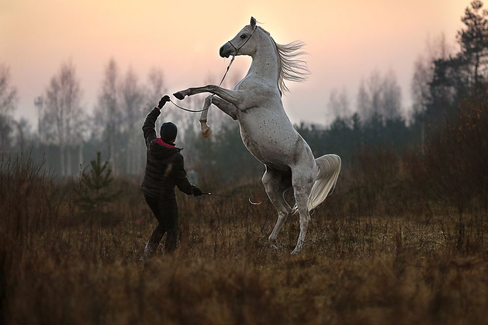 Photograph by Alina Zhuk