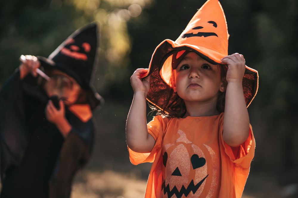 Фотография автора Alena Ponomareva