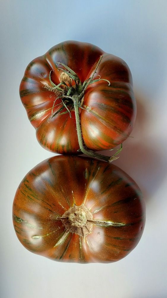 Photograph by ЭЛЬМИРА  ИСМАИЛОВА