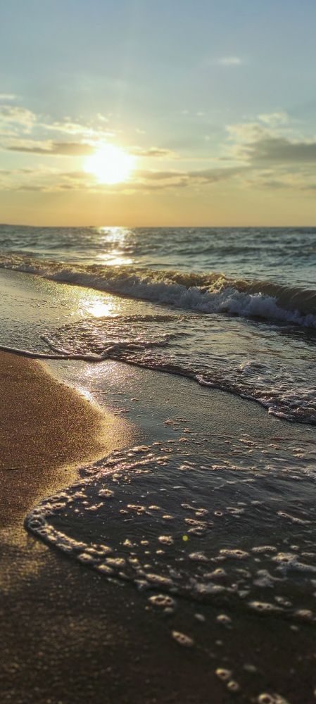 Фотография автора Васильева Ирина