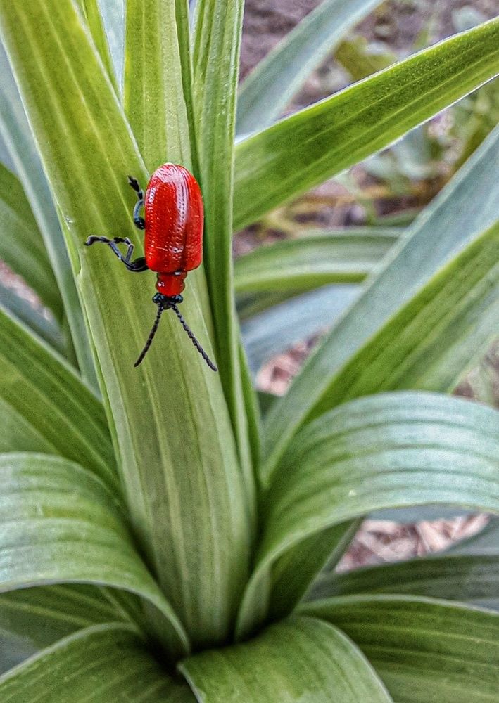 Photograph by Светлана Моисеева
