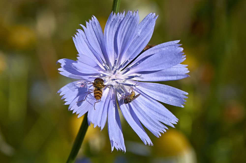 Photograph by Валерий