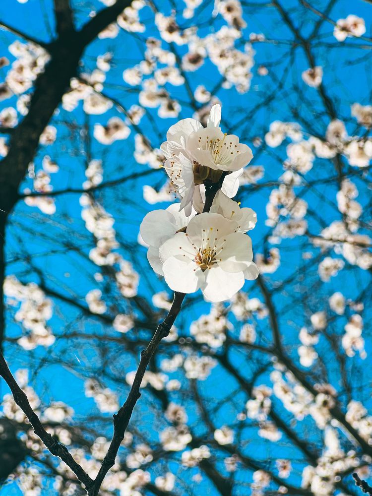 Photograph by Элеонора Ер