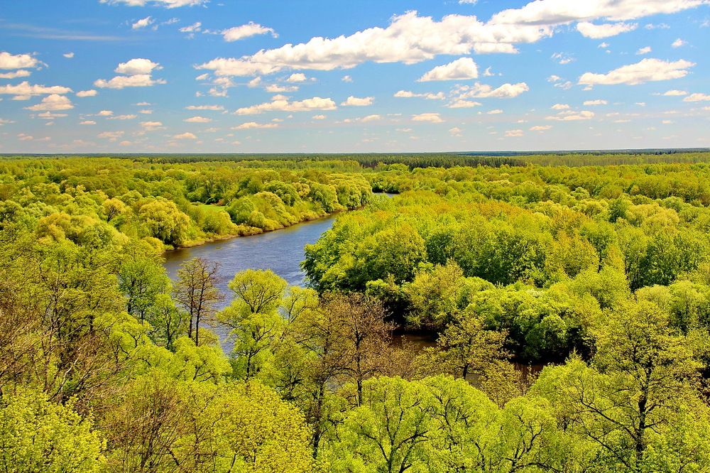 Photograph by Виталий Симоненков