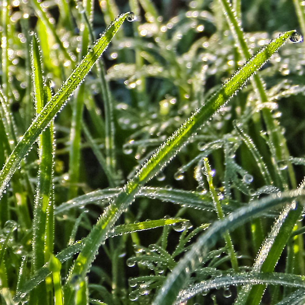 Photograph by Ирина Архипова