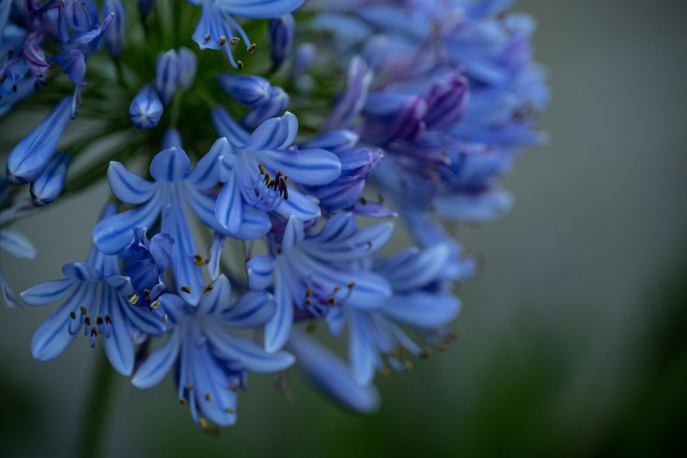 Photograph by Anna Vlasova