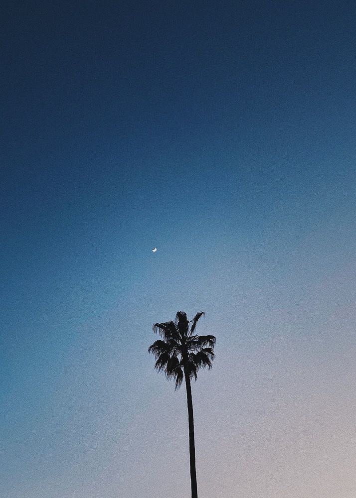 Photograph by Anna Vlasova