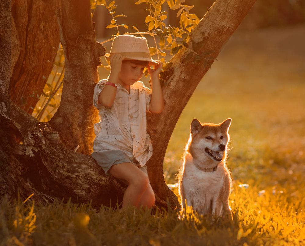 Фотография автора Aleksandra Choporova